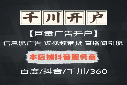 案例研究：SEM开户助力电商快速崛起
